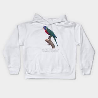 Rainbow Lorikeet female - 19th century Jacques Barraband Illustration Kids Hoodie